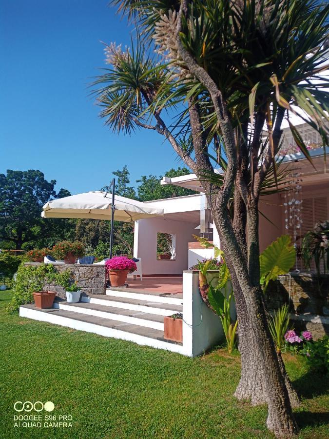 Casa De La Luna Nettuno Zewnętrze zdjęcie